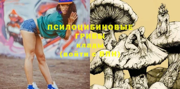 гидра Каменск-Шахтинский