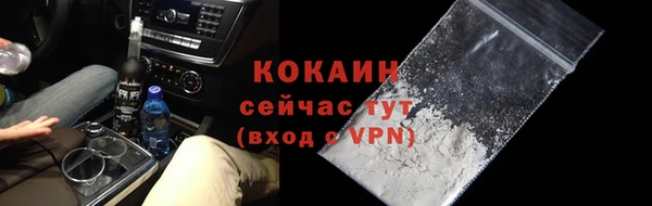 тгк Каменка
