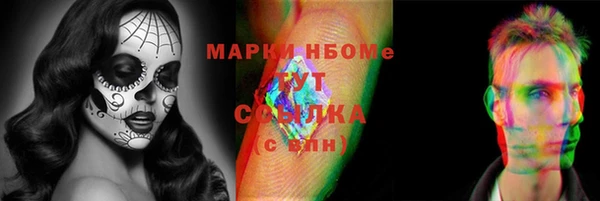 сатива Каменногорск