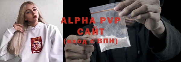тгк Каменка