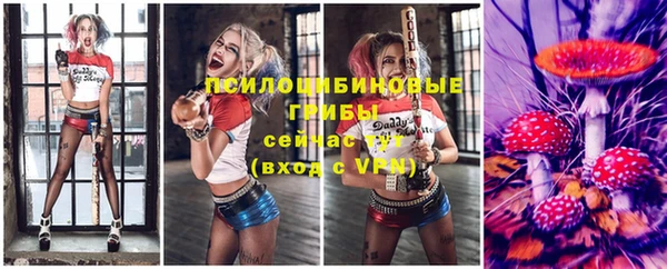 сатива Каменногорск