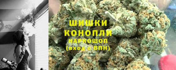 тгк Каменка