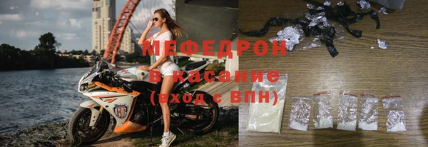 сатива Каменногорск