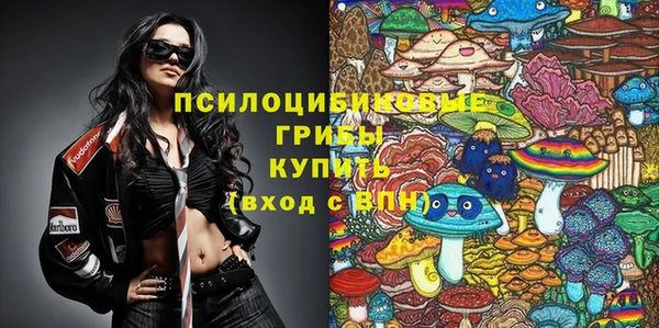 сатива Каменногорск