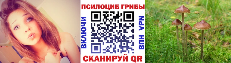 Псилоцибиновые грибы мицелий  ОМГ ОМГ как войти  Кашира 